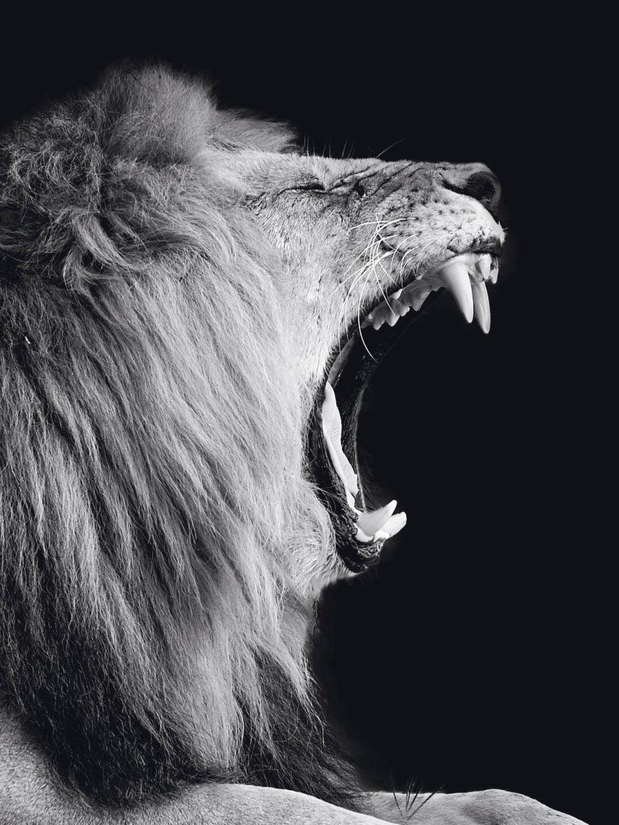 Schilderij-Dark Lion No5-PosterGuru