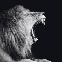 Load image into Gallery viewer, Schilderij-Dark Lion No5-PosterGuru
