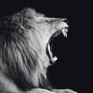 Schilderij-Dark Lion No5-PosterGuru
