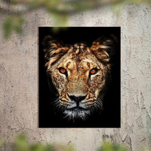 Afbeelding in Gallery-weergave laden, Schilderij-Dark Lioness-PosterGuru
