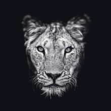 Load image into Gallery viewer, Schilderij-Dark Lioness No2-PosterGuru
