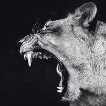 Afbeelding in Gallery-weergave laden, Schilderij-Dark Lioness No4-PosterGuru
