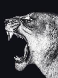 Schilderij-Dark Lioness No5-PosterGuru
