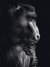 Afbeelding in Gallery-weergave laden, Schilderij-Dark Monkey No1-PosterGuru
