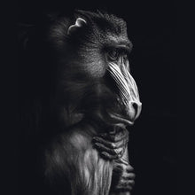 Afbeelding in Gallery-weergave laden, Schilderij-Dark Monkey No1-PosterGuru
