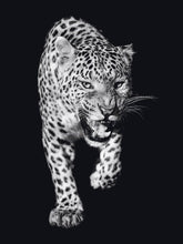 Load image into Gallery viewer, Schilderij-Dark Panther No1-PosterGuru

