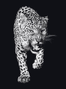 Schilderij-Dark Panther No1-PosterGuru