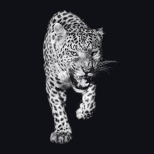 Load image into Gallery viewer, Schilderij-Dark Panther No1-PosterGuru
