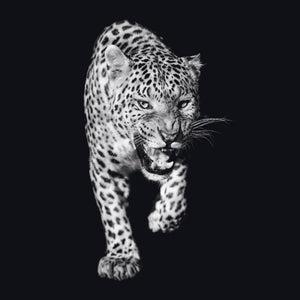 Schilderij-Dark Panther No1-PosterGuru