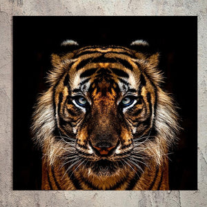 Schilderij-Dark Tiger-PosterGuru