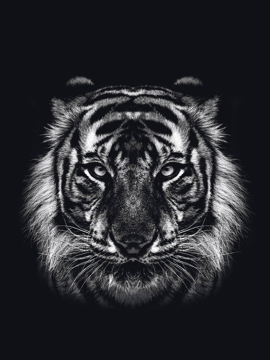 Schilderij-Dark Tiger No 1-PosterGuru
