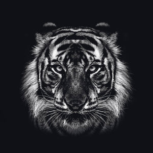 Schilderij-Dark Tiger No 1-PosterGuru