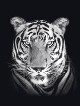 Afbeelding in Gallery-weergave laden, Schilderij-Dark Tiger No 2-PosterGuru

