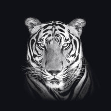 Load image into Gallery viewer, Schilderij-Dark Tiger No 2-PosterGuru
