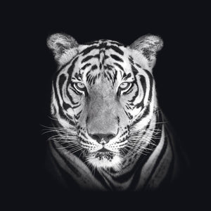 Schilderij-Dark Tiger No 2-PosterGuru