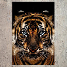 Afbeelding in Gallery-weergave laden, Schilderij-Dark Tiger-PosterGuru
