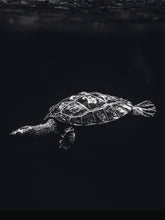 Load image into Gallery viewer, Schilderij-Dark Turtle No1-PosterGuru
