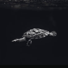 Load image into Gallery viewer, Schilderij-Dark Turtle No1-PosterGuru
