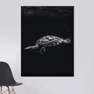 Schilderij-Dark Turtle No1-PosterGuru