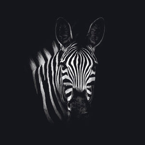 Schilderij-Dark Zebra No1-PosterGuru