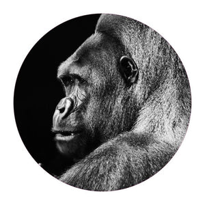 Schilderij-Gorilla-PosterGuru