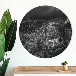 Schilderij-Hooglander-PosterGuru
