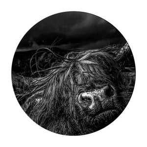 Schilderij-Hooglander-PosterGuru