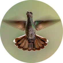 Load image into Gallery viewer, Schilderij-Kolibrie-PosterGuru
