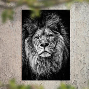 Schilderij-Lion-PosterGuru