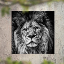 Load image into Gallery viewer, Schilderij-Lion-PosterGuru
