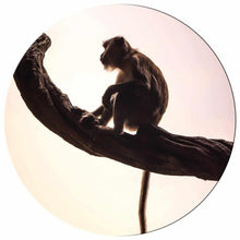 Load image into Gallery viewer, Schilderij-Little Monkey-PosterGuru
