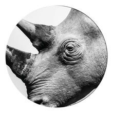 Load image into Gallery viewer, Schilderij-Neushoorn-PosterGuru
