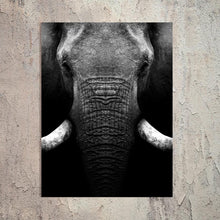Load image into Gallery viewer, Schilderij-Olifant Close Up-PosterGuru
