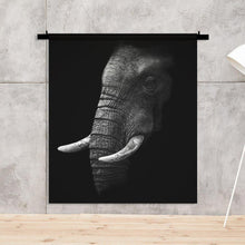Load image into Gallery viewer, Schilderij-Olifant No3-PosterGuru
