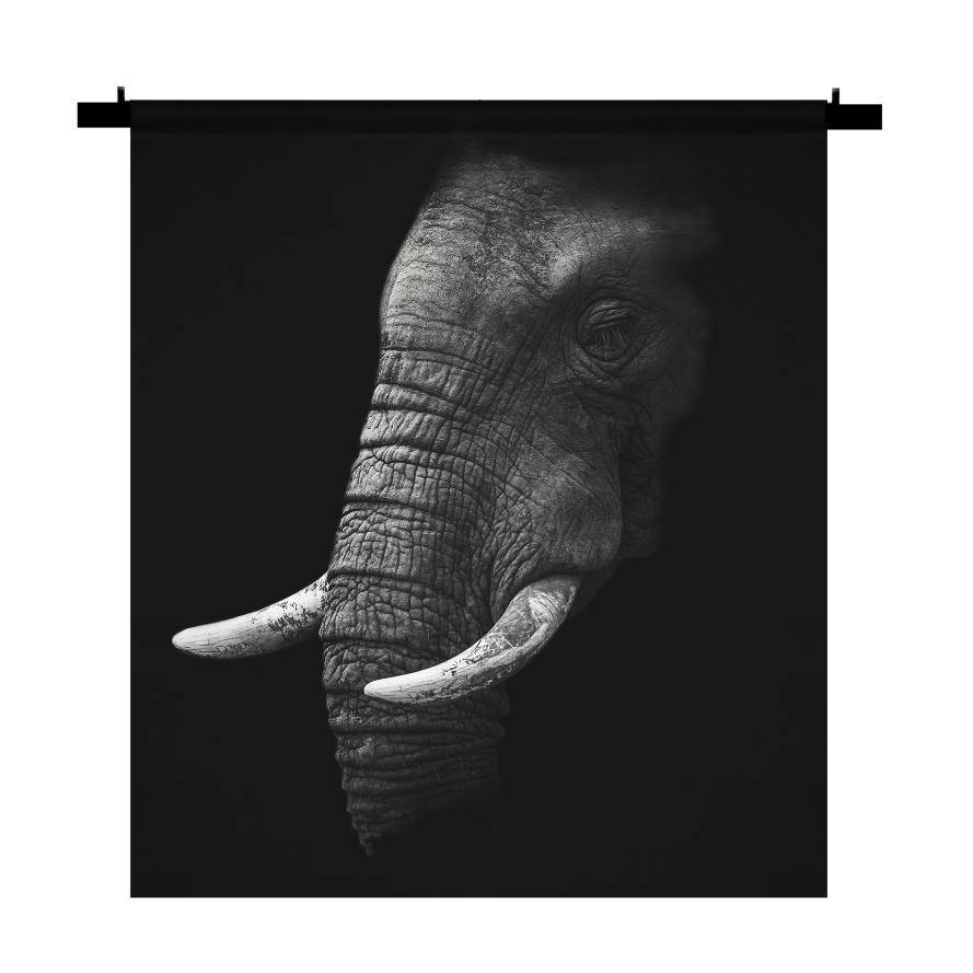 Schilderij-Olifant No3-PosterGuru